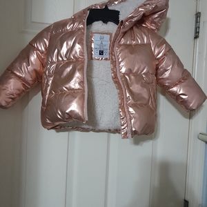 Gap Jacket Toddler